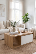 Coffee Table -TL-BL11