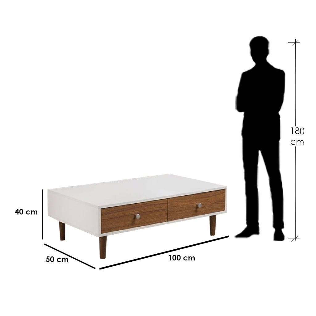 Rina Coffee Table — White & Brown 100 × 50 × 40 cm