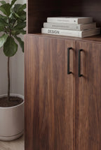 Modern Shoe Cabinet