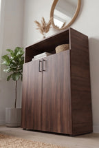 Modern Shoe Cabinet