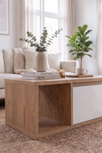 Coffee Table -TL-BL11