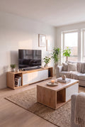 TV Unit & Coffee Table